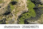 Aerial image of a rugged, semi-arid landscape with patches of green vegetation interspersed among dry, rocky terrain. Wetland and grassland in a field, with tracks running through it. Green grass. 