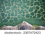 Aerial image of Spotted Lake, BC, Canada