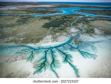 Aerial image of Willie Creek and its beautiful tidal creeks in Broome, the  Kimberley Region in Western Australia