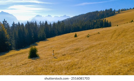 AERIAL: Lady is hiking uphill with her obedient dog along a scenic meadow with stunning views of high alpine peaks. Picturesque walk along on beautiful sunny autumn day in the heart of Slovenian Alps. - Powered by Shutterstock