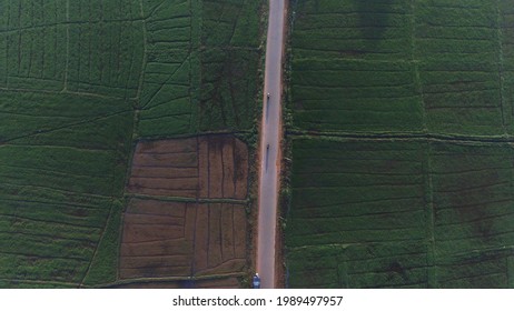 Aerial Landscape Photography. Beautiful Village Paddy Field In Sri Lanka