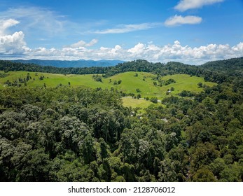 Aerial Landscape Of The Rolling Hills Of A Dairy Farm And The Dense Tropicle Rainforest Of Eungella National Park, Queensland, Australia.