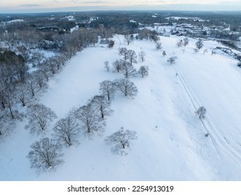 aerial landscape view of trees after snow - Shutterstock ID 2254913019