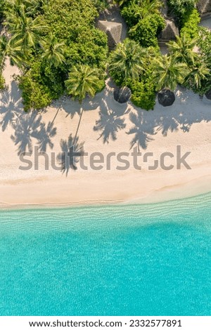 Aerial landscape view of tropical summer palm trees shadows on sandy coast ocean waves splash crash. Beautiful top view sunny sea coast, exotic amazing nature landscape. Abstract Mediterranean pattern