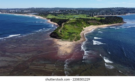 Aerial Long Reef In Dee Why, Sydney, New South Wales, Attraction Tourism Australia. Drone View. Australian Beach. 