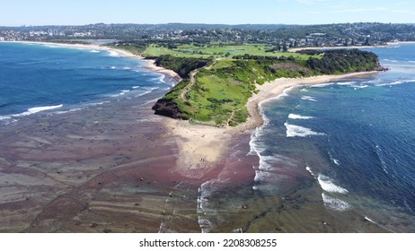 Aerial Long Reef, Sydney, New South Wales, Attraction Tourism Australia. Drone View. Australian Beach. 