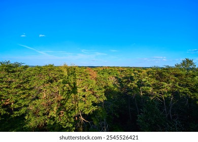 Aerial of Lush Forest Canopy in Fall Hocking Hills Ohio - Powered by Shutterstock