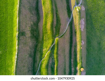 Aerial - Maiden Castle, Dorset