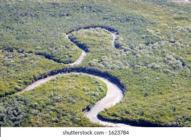 Aerial Of A Mangrove Forest In Queensland Australia.