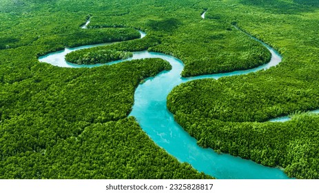 Aerial mangrove forests view at Phang Nga, Thailand - Powered by Shutterstock