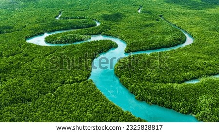 Aerial mangrove forests view at Phang Nga, Thailand