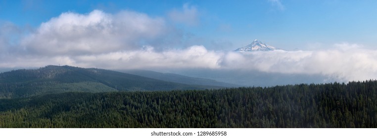 Aerial Misty View Of The Summer Panorama With Mt. Hood Above The Clouds In Oregon State In USA.