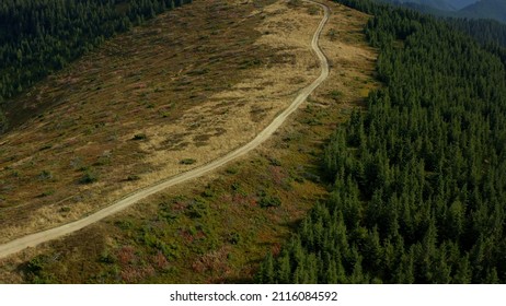 Aerial Mountain Woods Road For Tourists Among Peaceful Hills Forest Growing. Rocky Travel Path Drone View Charming Sequoia Trees Beautiful National Park Scene. Hilly Spruces Background Concept