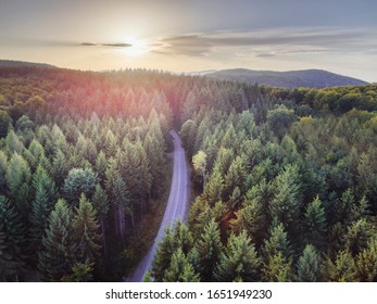 Aerial nature scenic landscape of pine trees and driving road in summer. Top view of dark green forest in mountain at sunset. Travel path and fir wood with sunlight from above.