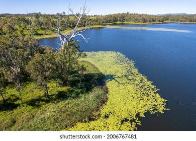 Aerial Over Yellow Green Algae And Shoreline Of Catchment Area Teemburra Dam Queensland Australia