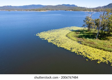 Aerial Over Yellow Green Algae And Shoreline Of Catchment Area Teemburra Dam Queensland Australia