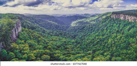 Aerial Panorama Of Rainforest And Rugged Cliffs. Springbrook National Park, Queensland, Australia