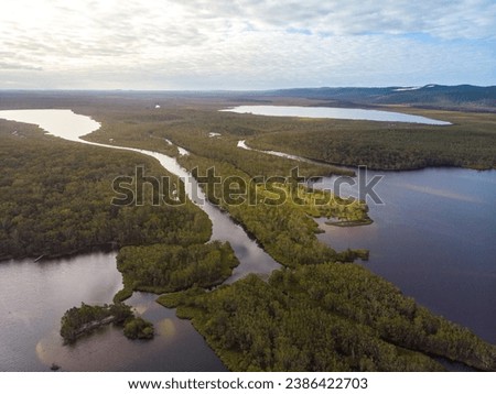 aerial panorama of unique ecosystem of noosa everglades - beautiful curvy noosa river and lush, green wetlands in south east queensland, australia, near sunshine coast and noosa heads