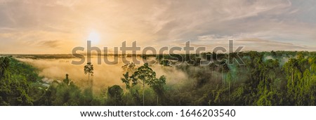 An aerial panorama view of tropical rainforest in morning misty, Stunning sunrise view of Borneo Rainforest
