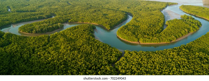 Aerial panoramic mangrove forest view in the Phang Nga bay, Thailand