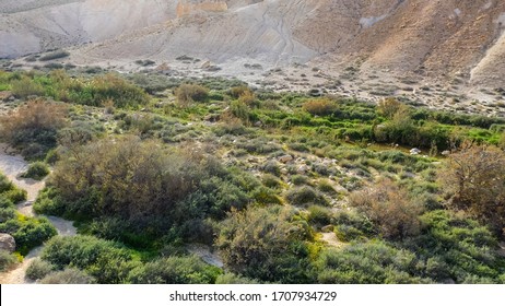 Kibbutz の画像 写真素材 ベクター画像 Shutterstock