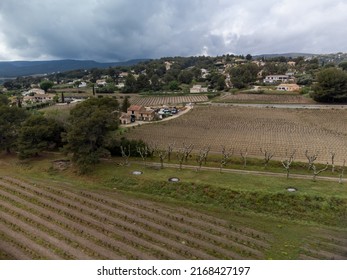 Aerial panoramic view on rows of grape plants on vineyards in Bandol wine making region, Provence, South of France in spring