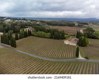 Aerial panoramic view on rows of grape plants on vineyards in Bandol wine making region, Provence, South of France in spring