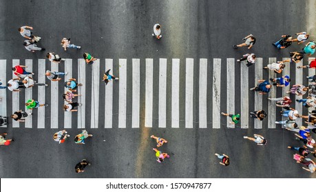 Aerial. Pedestrians On A Zebra Crosswalk. Top View.