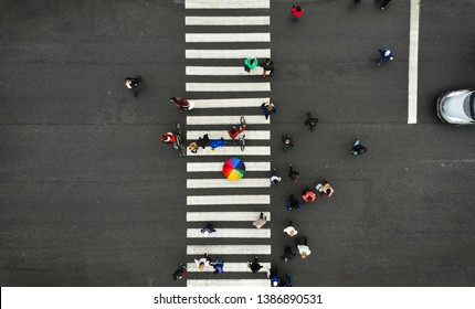 Aerial. People Crowd On Pedestrian Crosswalk. Zebra Crossing, Top View. One Person From Crowd Holds Colorful Umbrella. 