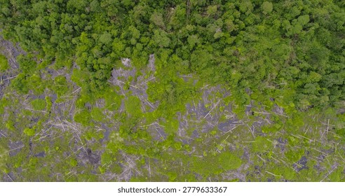 An aerial perspective capturing a deforestation front in a tropical peatland ecosystem. The upper portion shows intact forest, sharply contrasting with a clear-cut area that is severely degraded, littered with massive woody debris (logs), and flooded with dark, humic water, inhibiting natural regeneration.