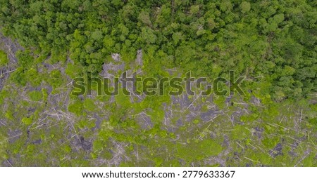An aerial perspective capturing a deforestation front in a tropical peatland ecosystem. The upper portion shows intact forest, sharply contrasting with a clear-cut area that is severely degraded, littered with massive woody debris (logs), and flooded with dark, humic water, inhibiting natural regeneration.