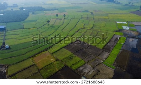 An aerial perspective reveals a patchwork of vibrant green agricultural fields interspersed with dark, tilled soil.