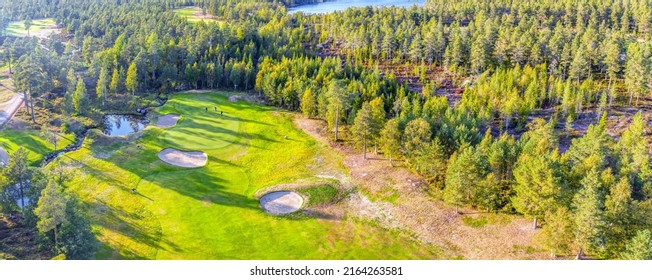 Aerial Perspective View On Golf Course In Northern Forest. Unidentified People Play Golf On Golf Course, Pine Trees Around. Warm Sunny Day Excellent For Golfers