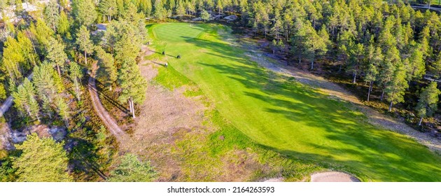 Aerial Perspective View On Golf Course In Northern Forest. Unidentified People Play Walk To Change Golf Course, Pine Trees Around. Warm Sunny Day Excellent For Golfers