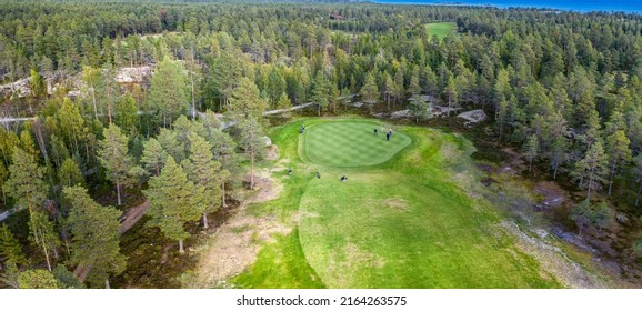 Aerial Perspective View On Narrow Long Golf Course In Northern Forest. Unidentified People Play Golf On Golf Course, Pine Trees Around, Baltic Sea On Horizon. Warm Sunny Day Excellent For Golfers