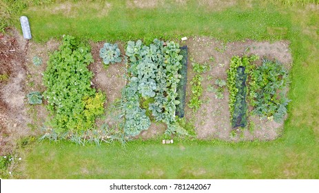 Aerial Photo Above Home Garden Vegetable Allotment Patch