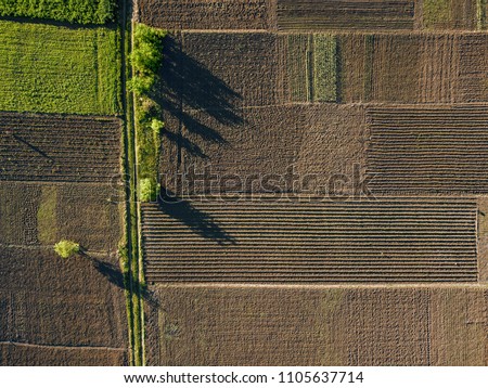 aerial photo of agro, summer view of green land with fields and gardens.
