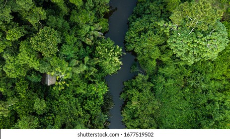 Aerial Photo Of Amazon Rain Forest Jungle In Peru 