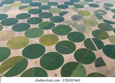 Aerial Photo of Circular Irrigated Fields near Center, Colorado, USA