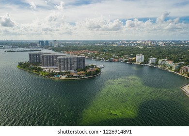 Aerial Photo Coconut Grove Miami FL