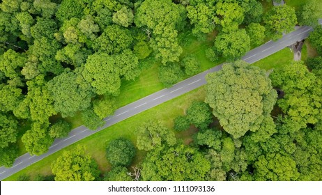 Aerial Photo Country Road Between Avenue Of Trees Green Forest Rural Countryside