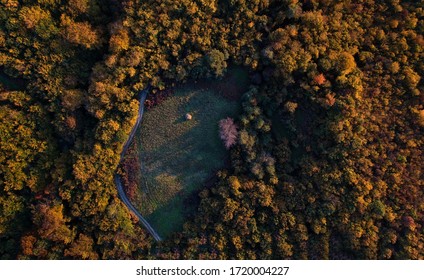 Aerial photo of field in forest mountain