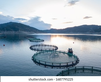 Aerial photo of fish farms in a scenic landscape