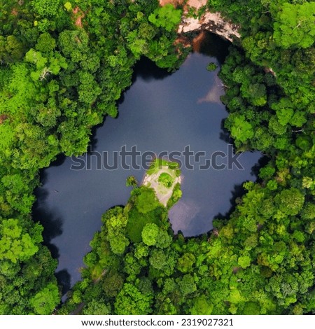 Aerial photo of lake in nature reserve in Singapore