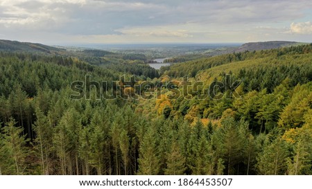 Aerial Photo of Macclesfield forest. Arty photo of tress with Reservoir in the background. Photo taken by drone. 