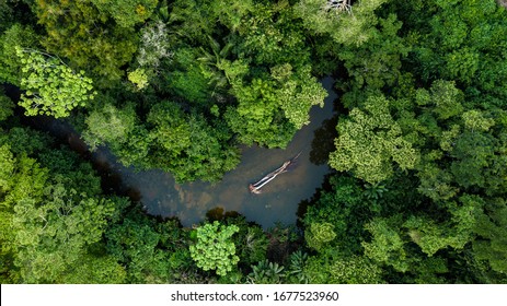 Aerial photo of river in amazon rainforest jungle in Peru - Shutterstock ID 1677523960