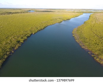 Aerial photo of a river in a mangrove forest - Shutterstock ID 1379897699