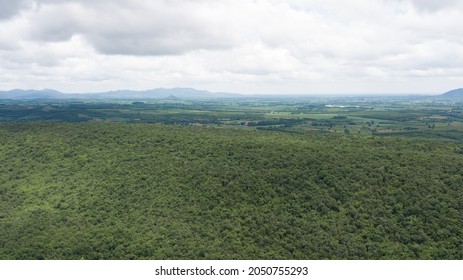 Aerial Photo Of A South East Asian Forest Road. Concepts Of Ecosystems And Healthy Ecosystems.