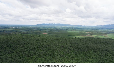 Aerial Photo Of A South East Asian Forest Road. Concepts Of Ecosystems And Healthy Ecosystems.