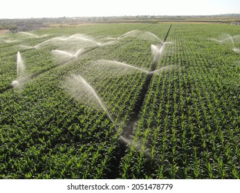 Aerial photo from sprinkler irrigation drone